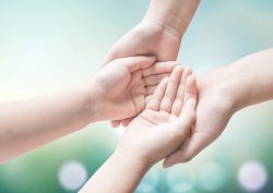 大人の手が子どもの手を包んでいる写真