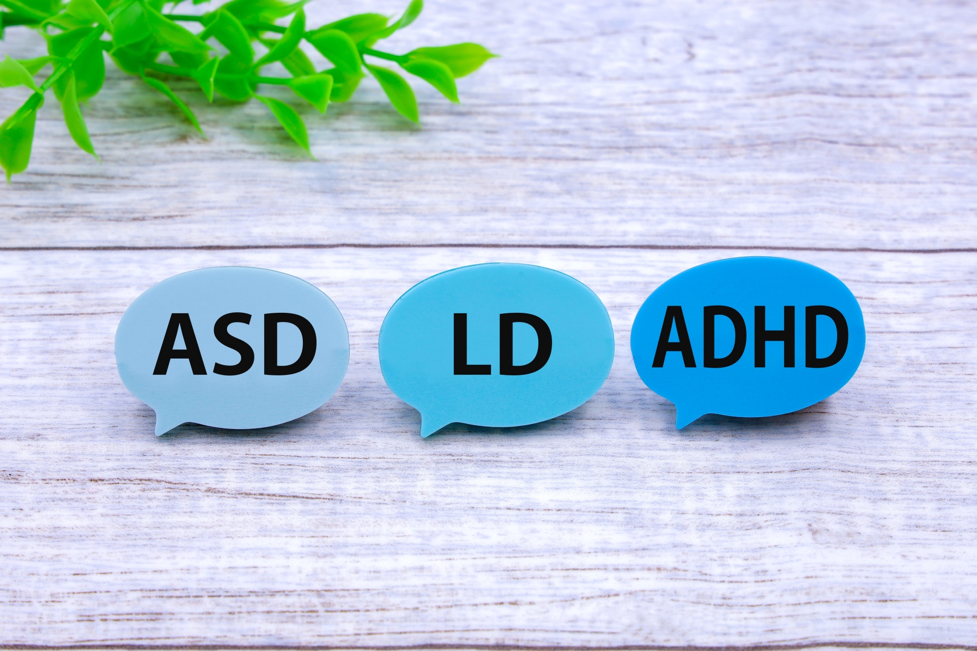 ASD、LD、ADAHと書かれたブロック